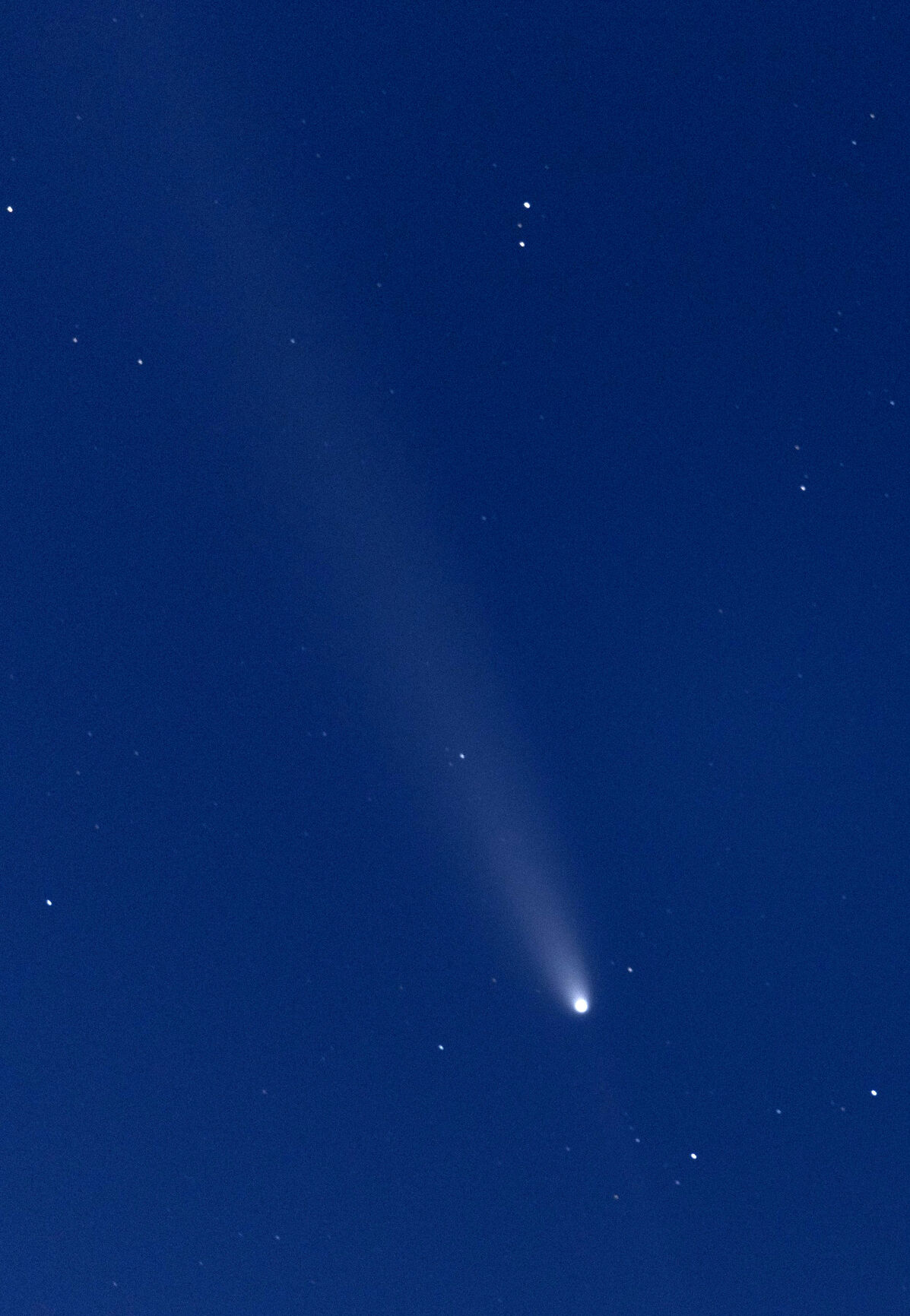 Once-in-a-lifetime comet soars through night sky